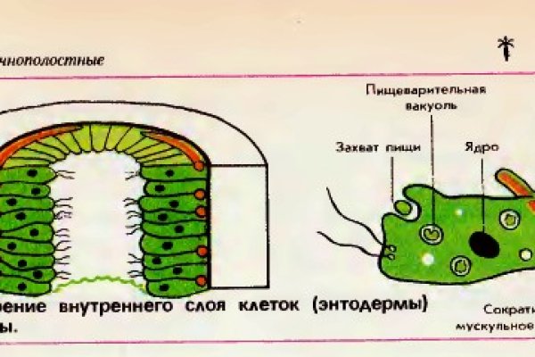 Кракен дарк ссылка
