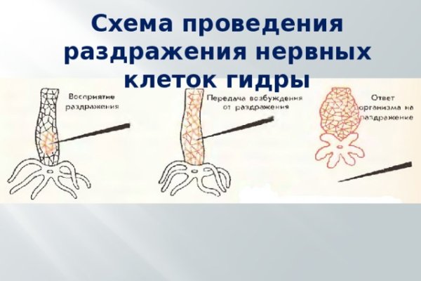 Даркнет кракен отзывы о платформе