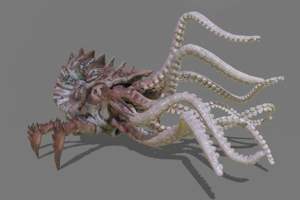 Kraken 5at