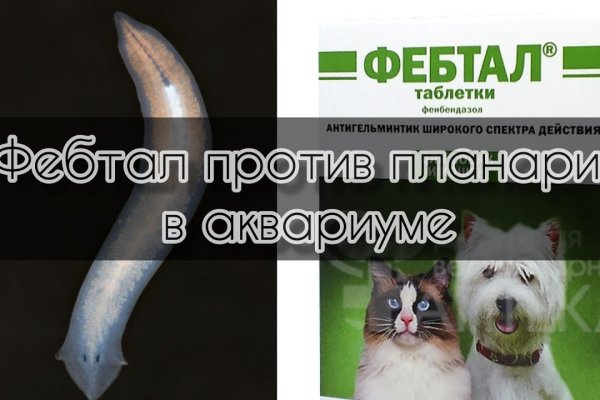Сайт кракена в торе